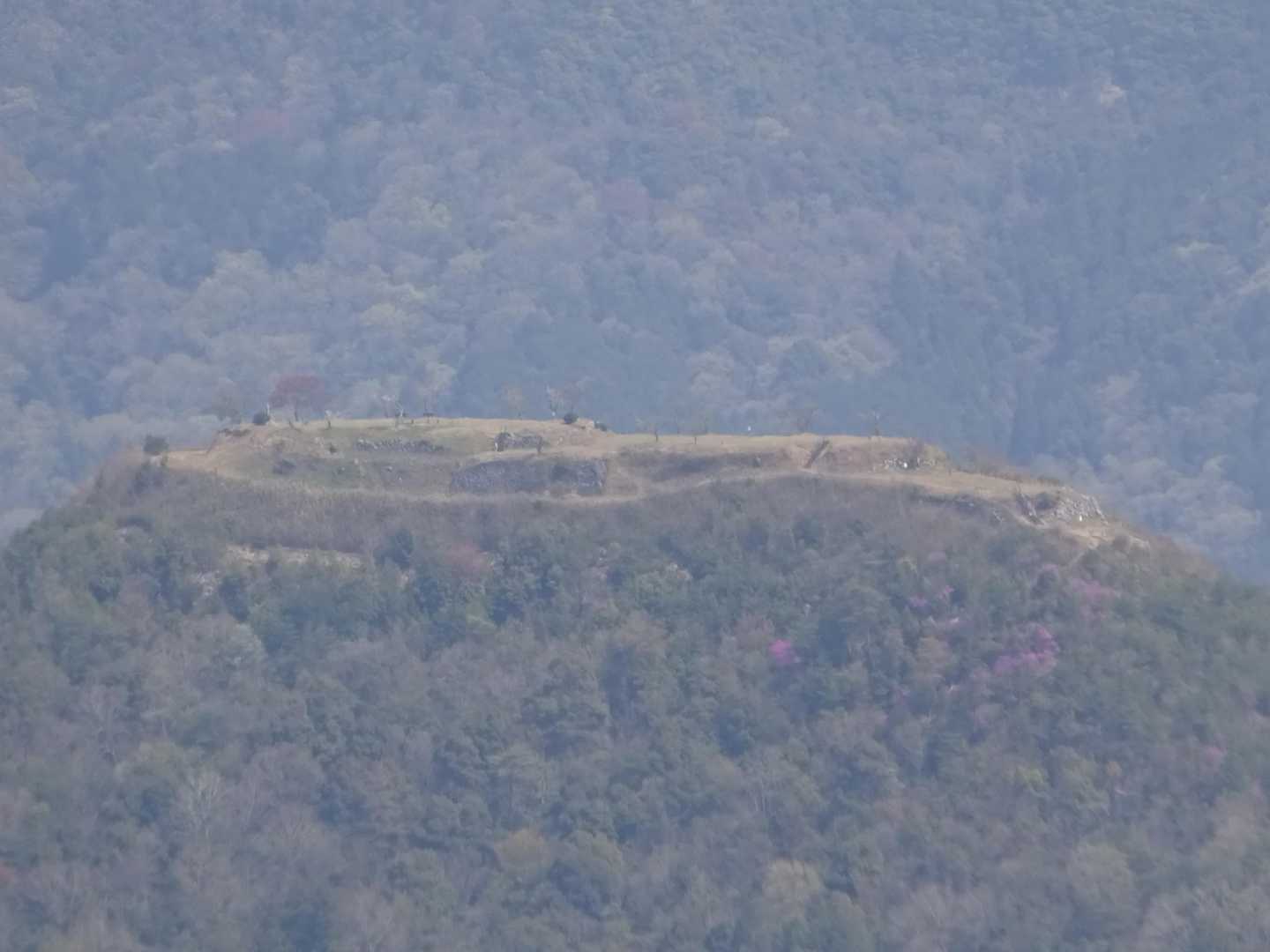宝来山から黒井城跡をズームしてみました。
