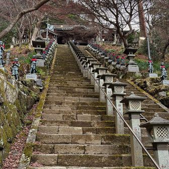 大山寺まで降ってきました。