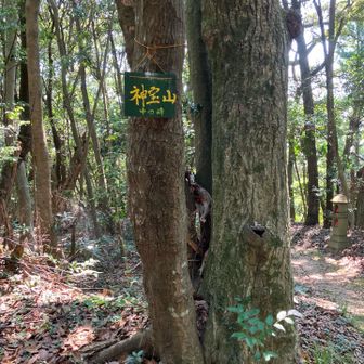 中の峰にはすぐに着きます