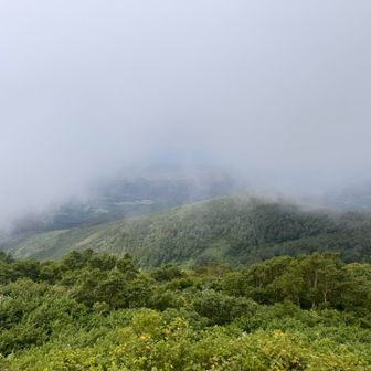 薄っすら海が見えてる気がする…