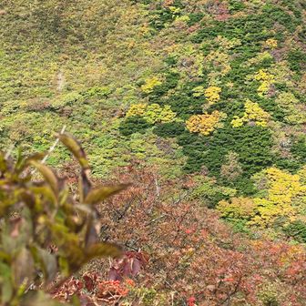 紅葉（三鈷峰）
大山は、
しっかり紅葉が始まりました(*^^*)