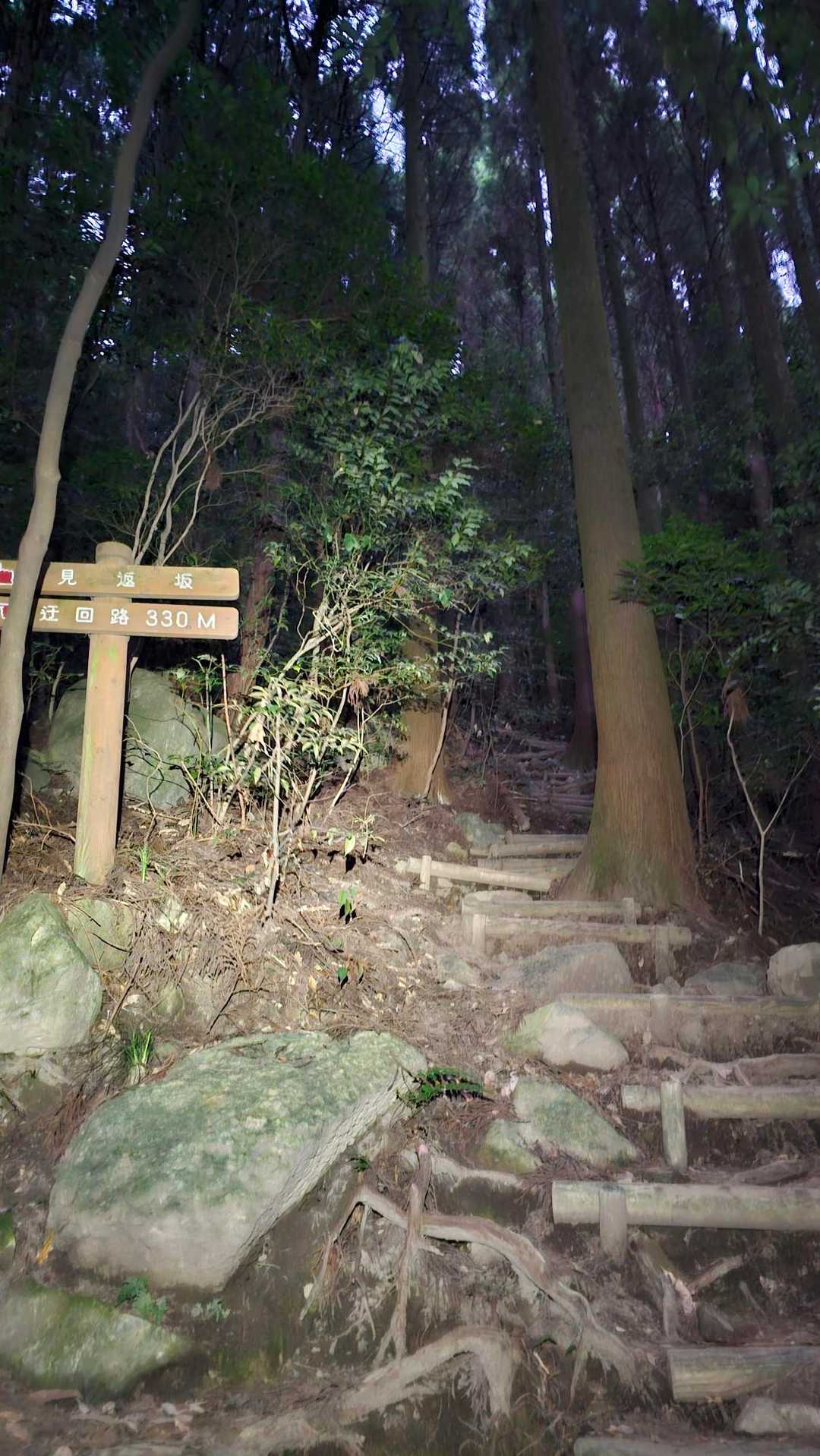 少し明るくなってきたけど、まだまだ💡