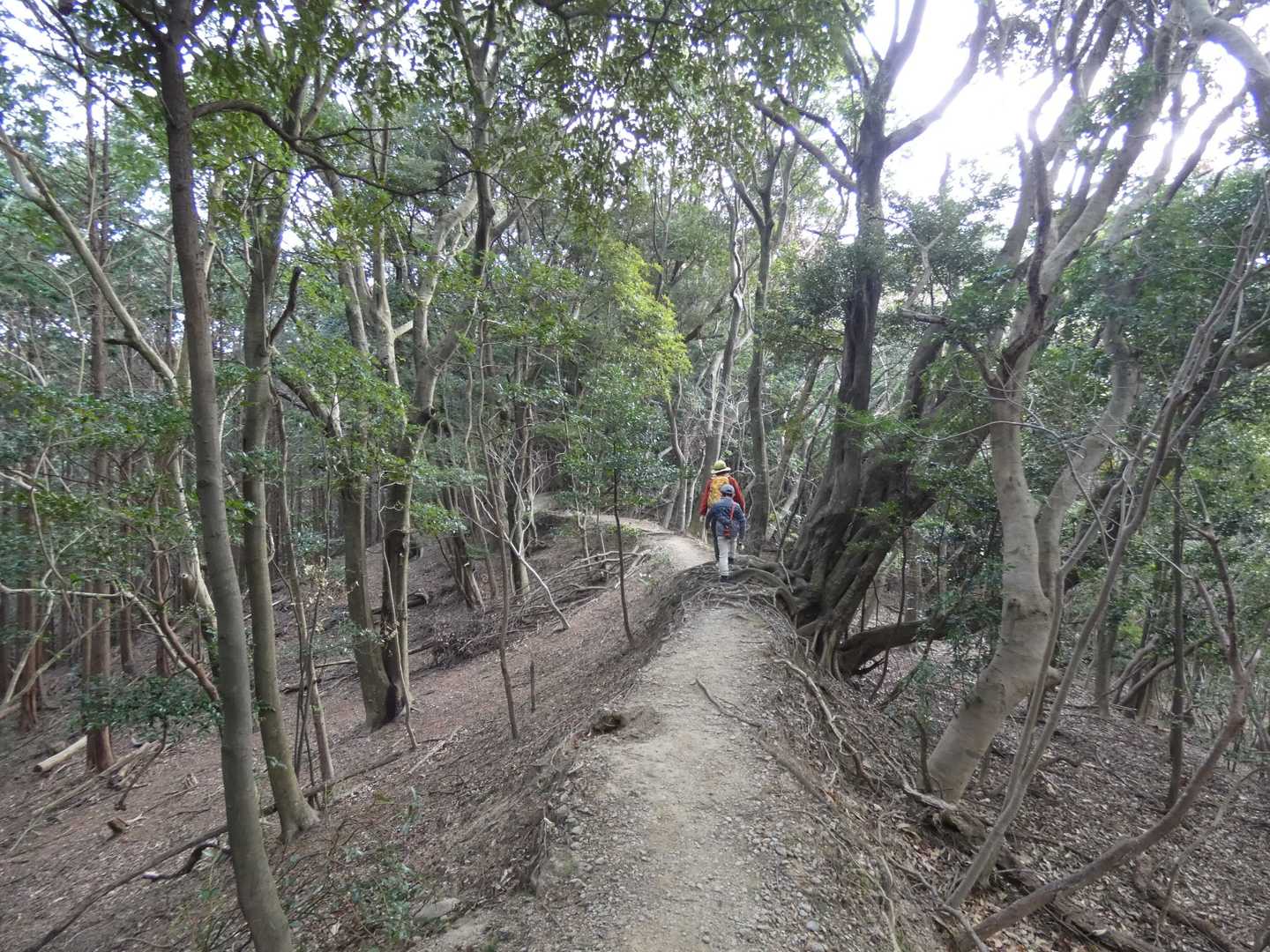 風が心地好し😄👍