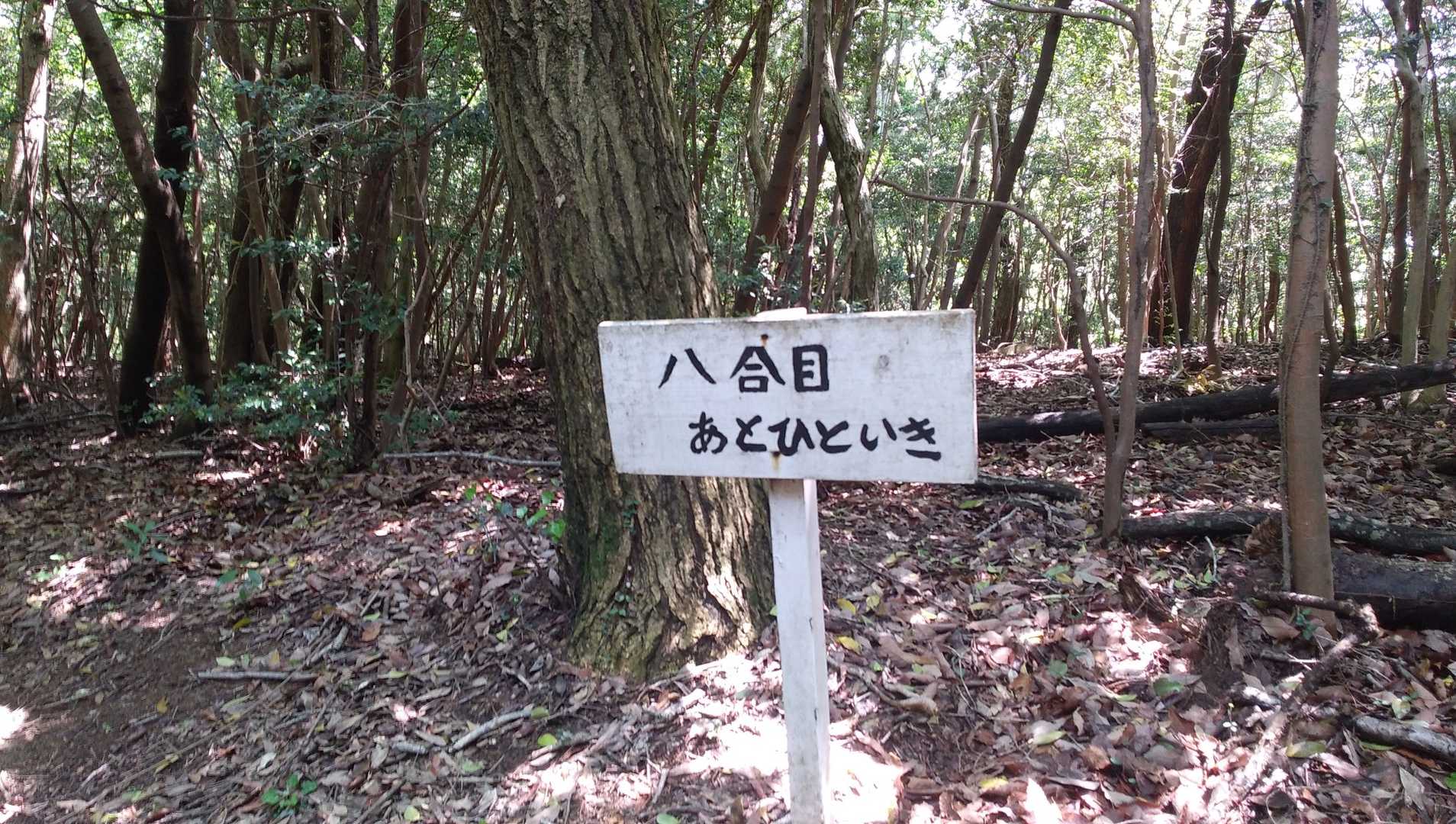 あとひといきって、どの位かな？