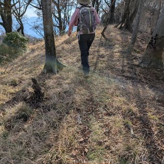 マイmamaさん、健脚で余裕の足どりです👍
タミーさんは少し手前から、ショートカットで下りられました
