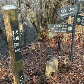 犬越路避難小屋でも一休み😵