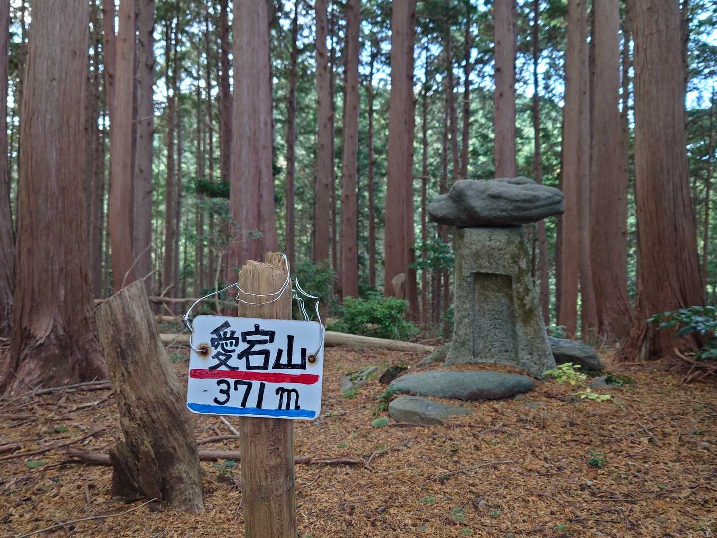 愛宕山山頂です🙏⤵️