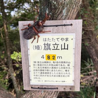 3座目、旗立山