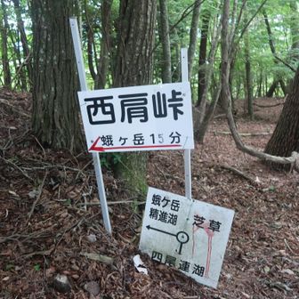 山頂を後にして下ります