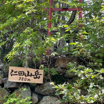 仁田山岳の新看板🙏