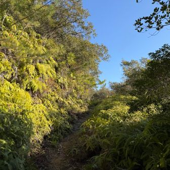 この辺り、かげがなく暑かったです