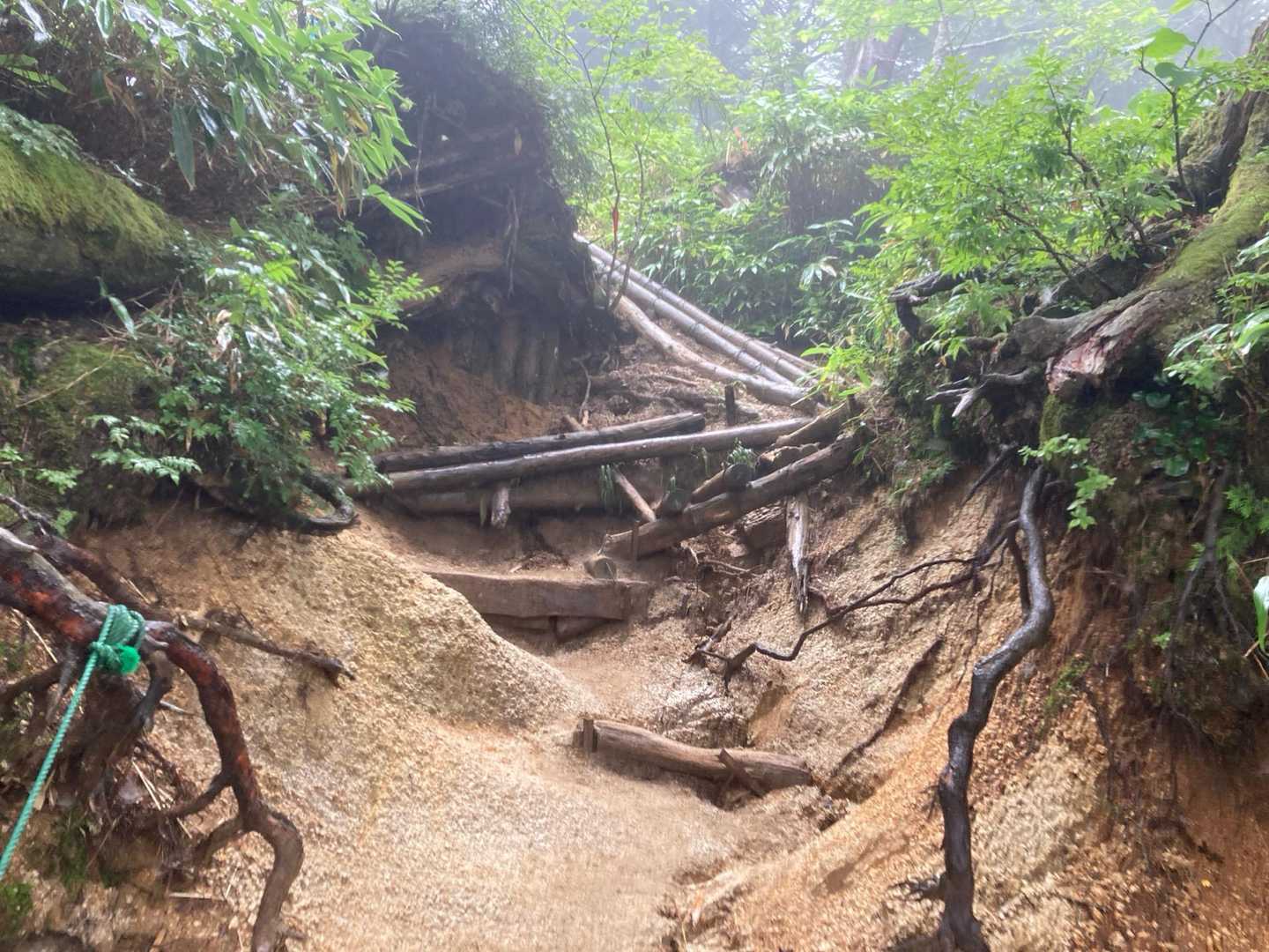 花崗岩ですな