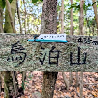 大きな山頂プレート
烏泊山　435ｍ
（現在三角点ピークとして地図に設定されてますが、せっかくなので久々にランドマークへ修正申請してみようかと思います）
