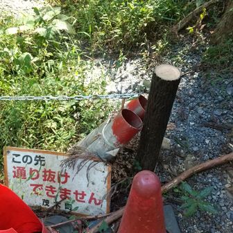 少し戻ってミツマタ群生地へ通じる道をここから登った。
車は通行止め