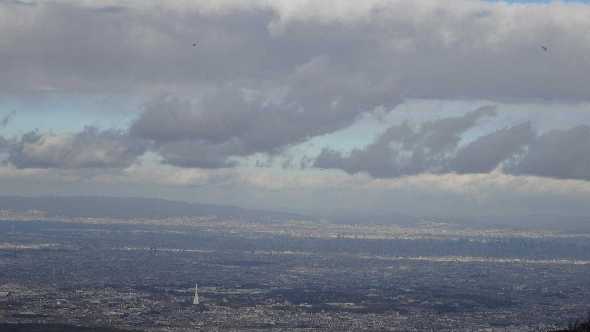 金剛山（もみじ谷-太尾尾根）の写真