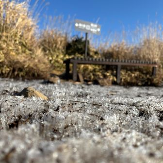 霜柱が溶けるパチパチという音を聴きながら山頂でしばしまったりする