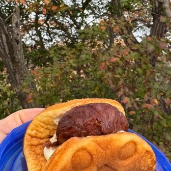 市販のワッフルに手作り渋皮煮🌰