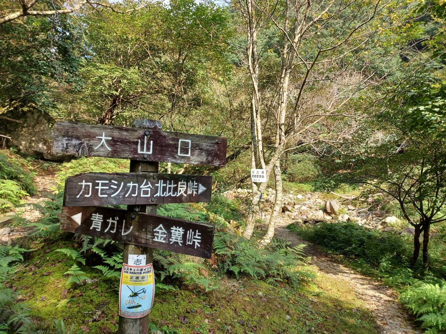 いつもの大山口からスタート❗