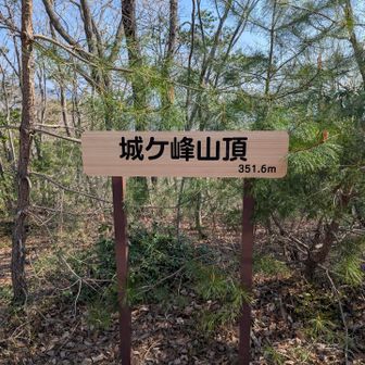 城ヶ峰⛰️登頂✨(出発から1時間7分)