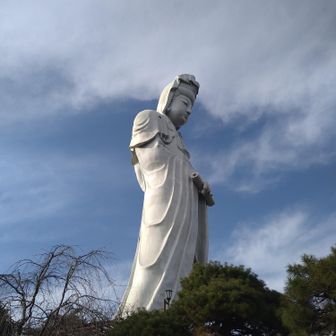 百衣観音　慈悲の御手
美しい💛