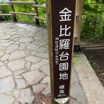 初めて来たかもしれにゃい✭