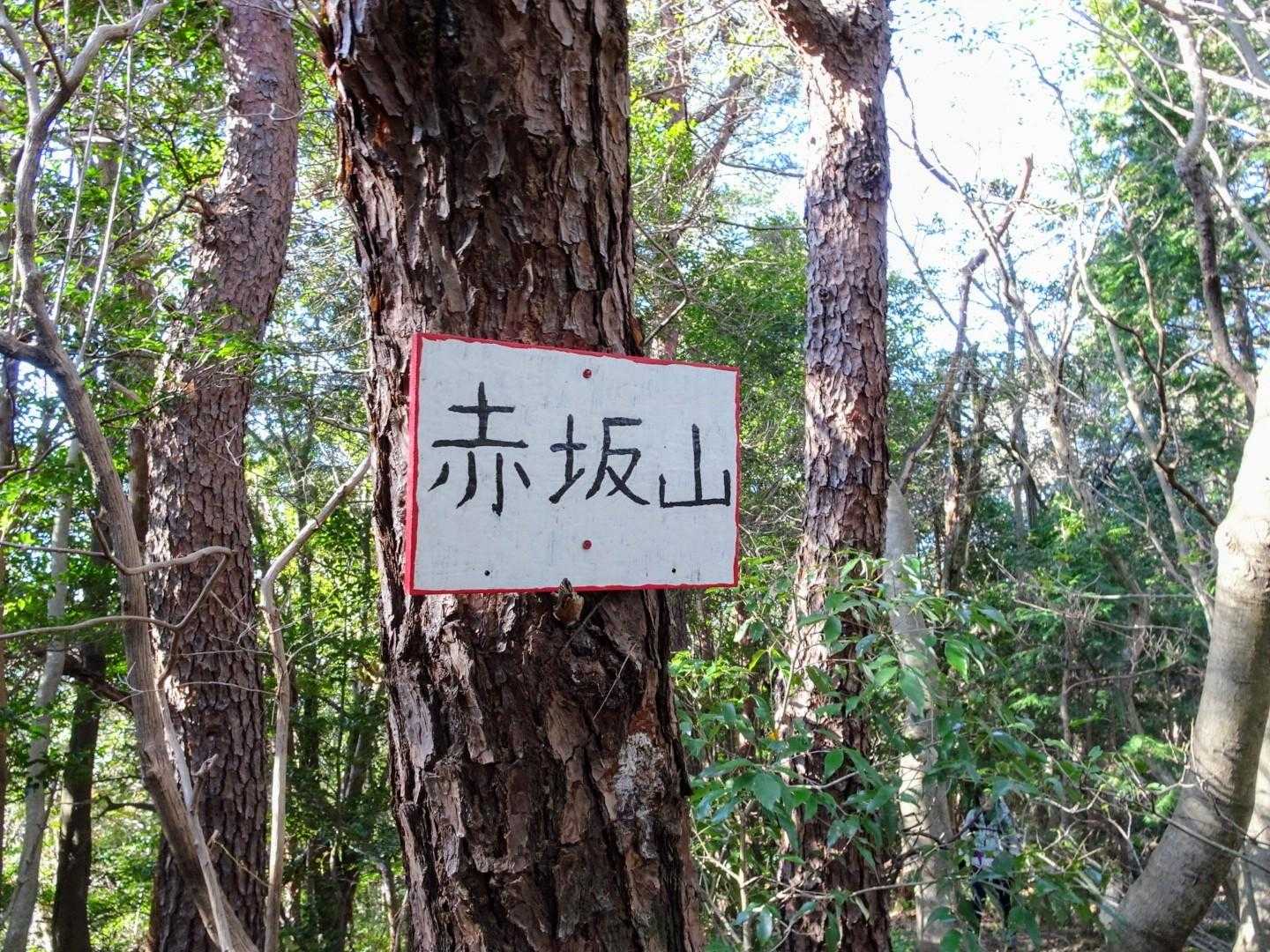 五井山への縦走路にある赤坂山▲