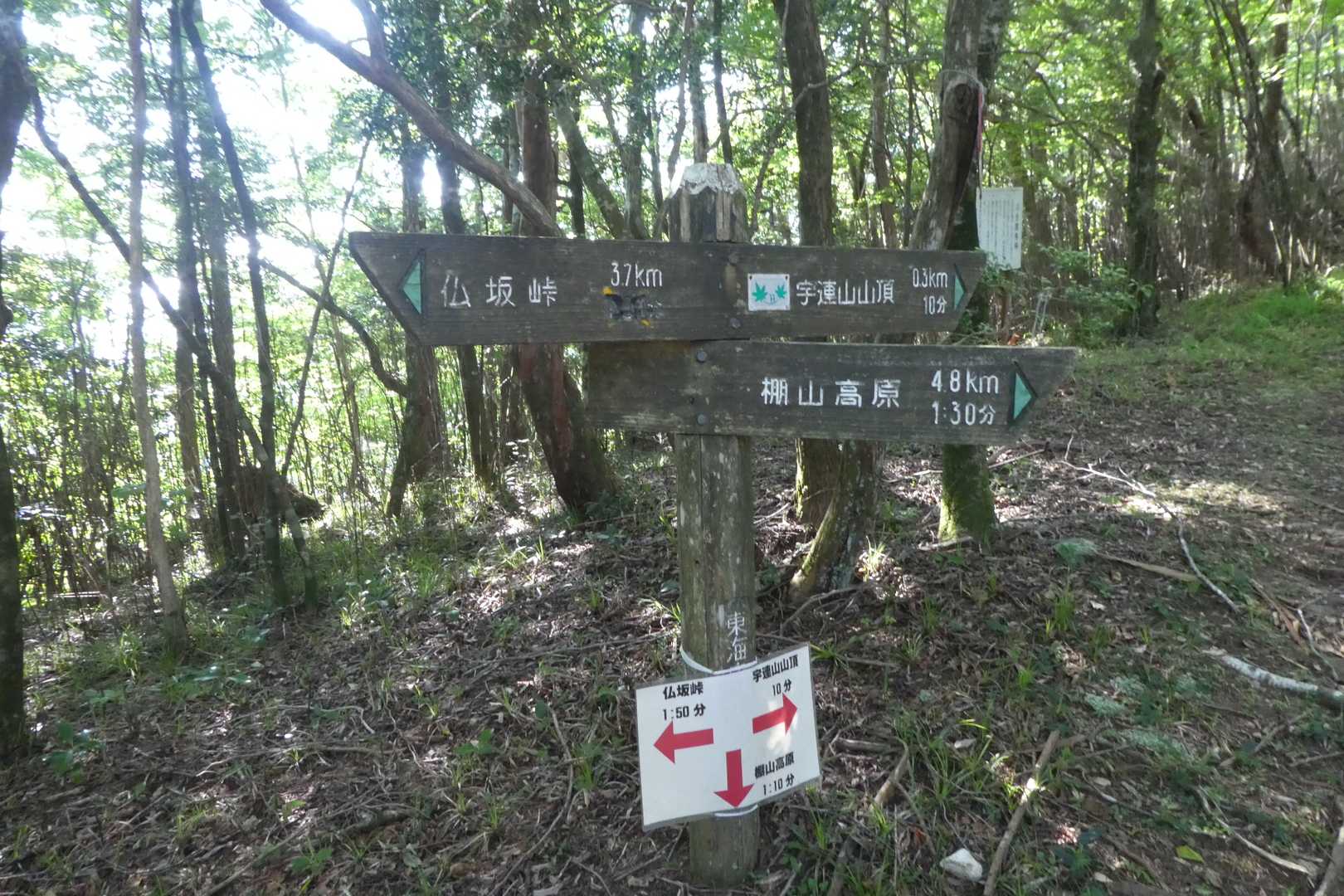 北側に下り、東海自然歩道で帰ります