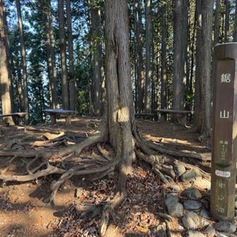 鋸山、1109m。展望なし、ベンチあり。