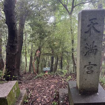 笠森付近。ここまでの良く整備された道を離れて行きます。