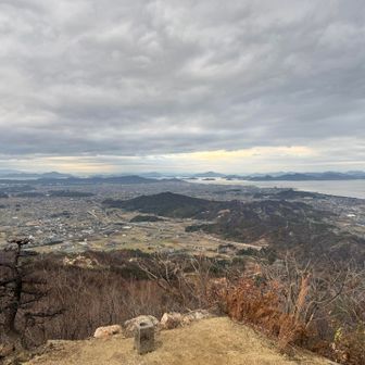 今年はこの風景を何度見たことか