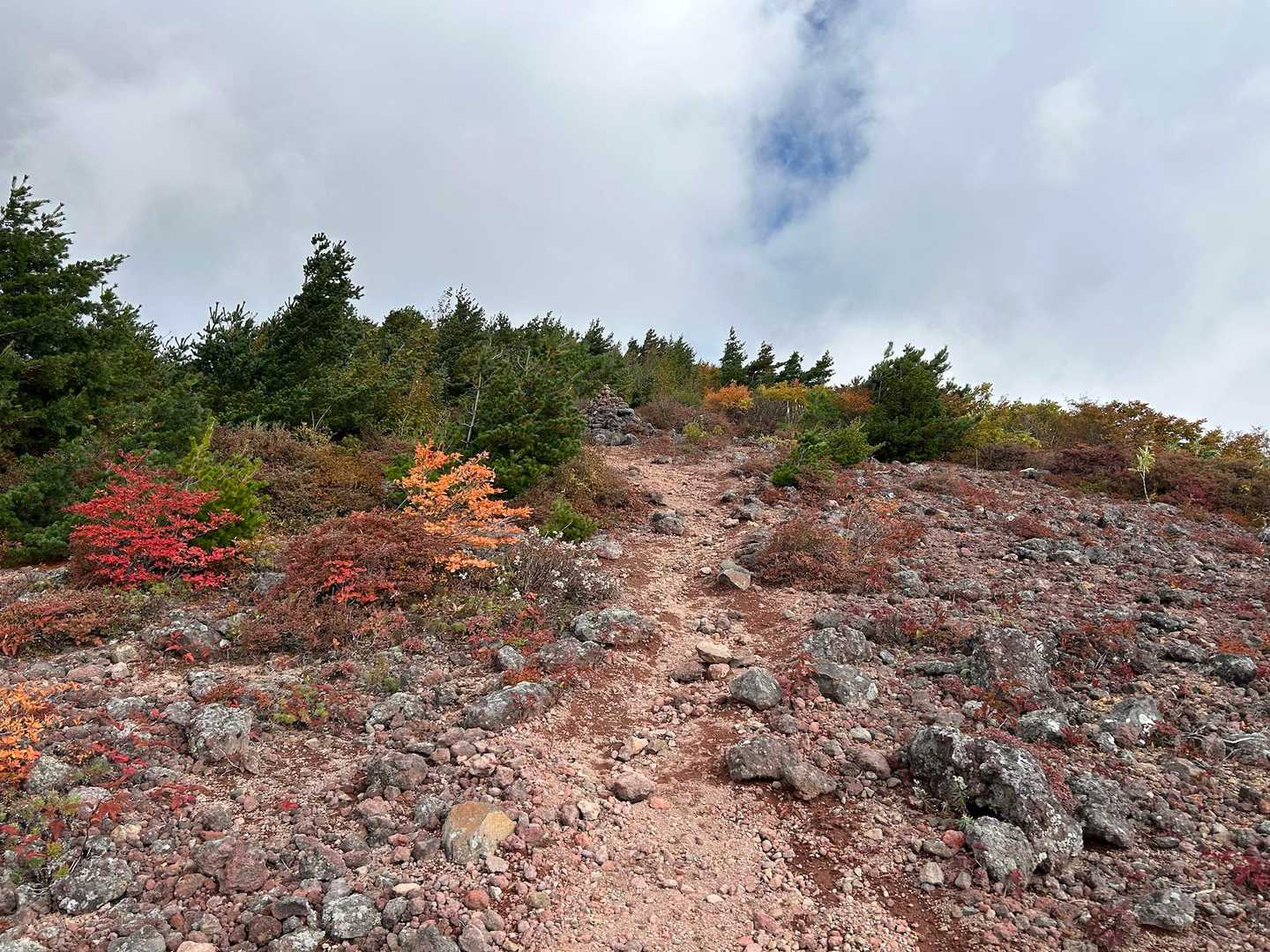 赤埴山山頂への道、とても良い色合い