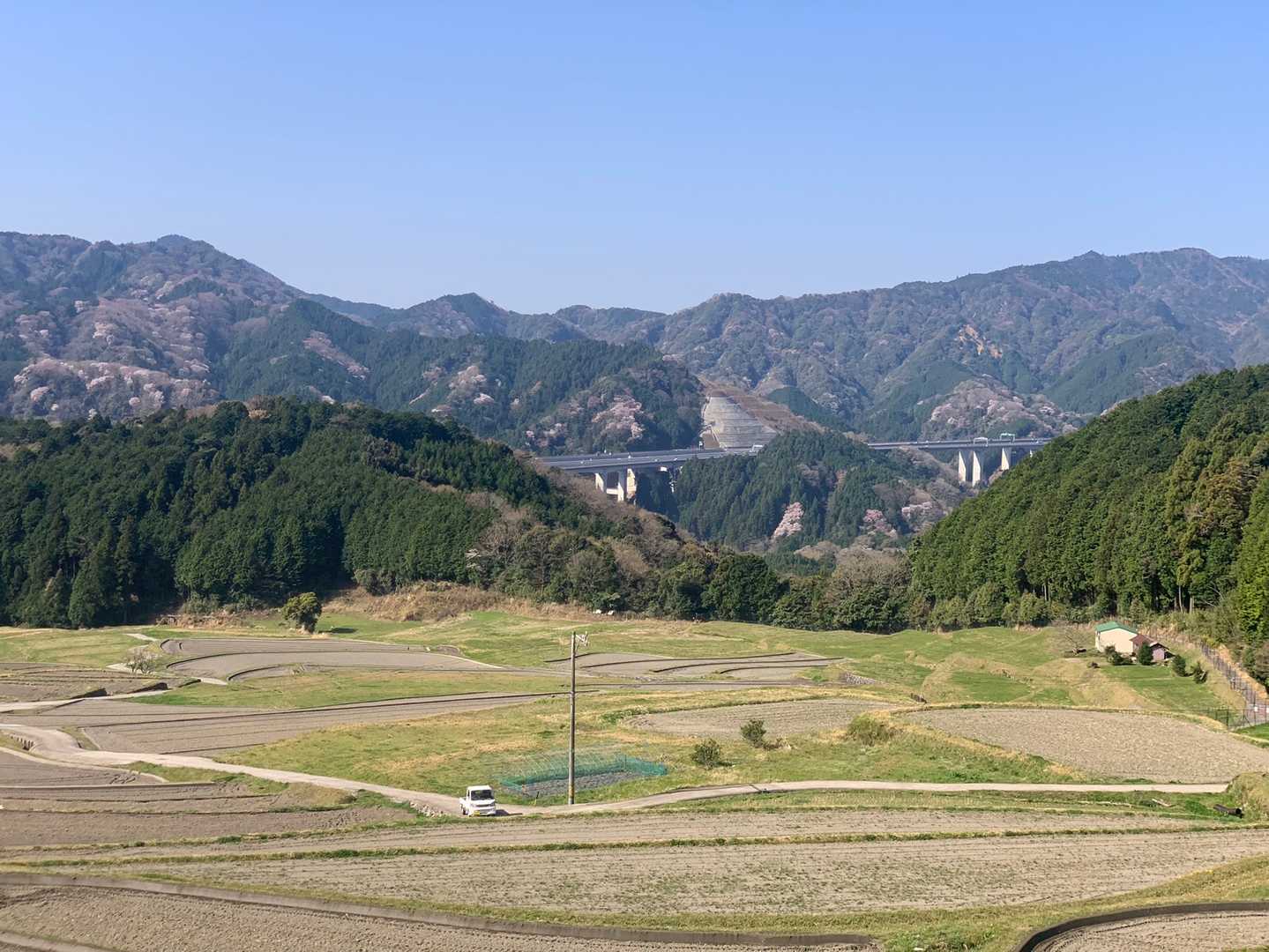 坂本棚田バス停-野登山 往復コースの写真