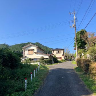 しばらく舗装道を歩きます。