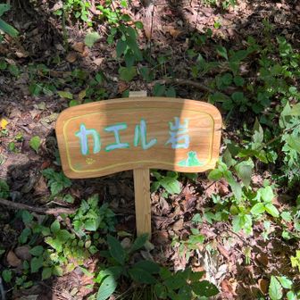 看板が立ったんだ！？
