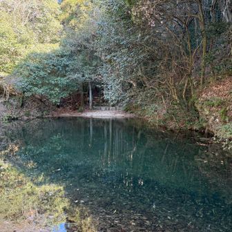 ココも忠実に真似っこ