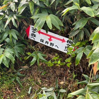 稜線出ました。堂ヶ森へ。