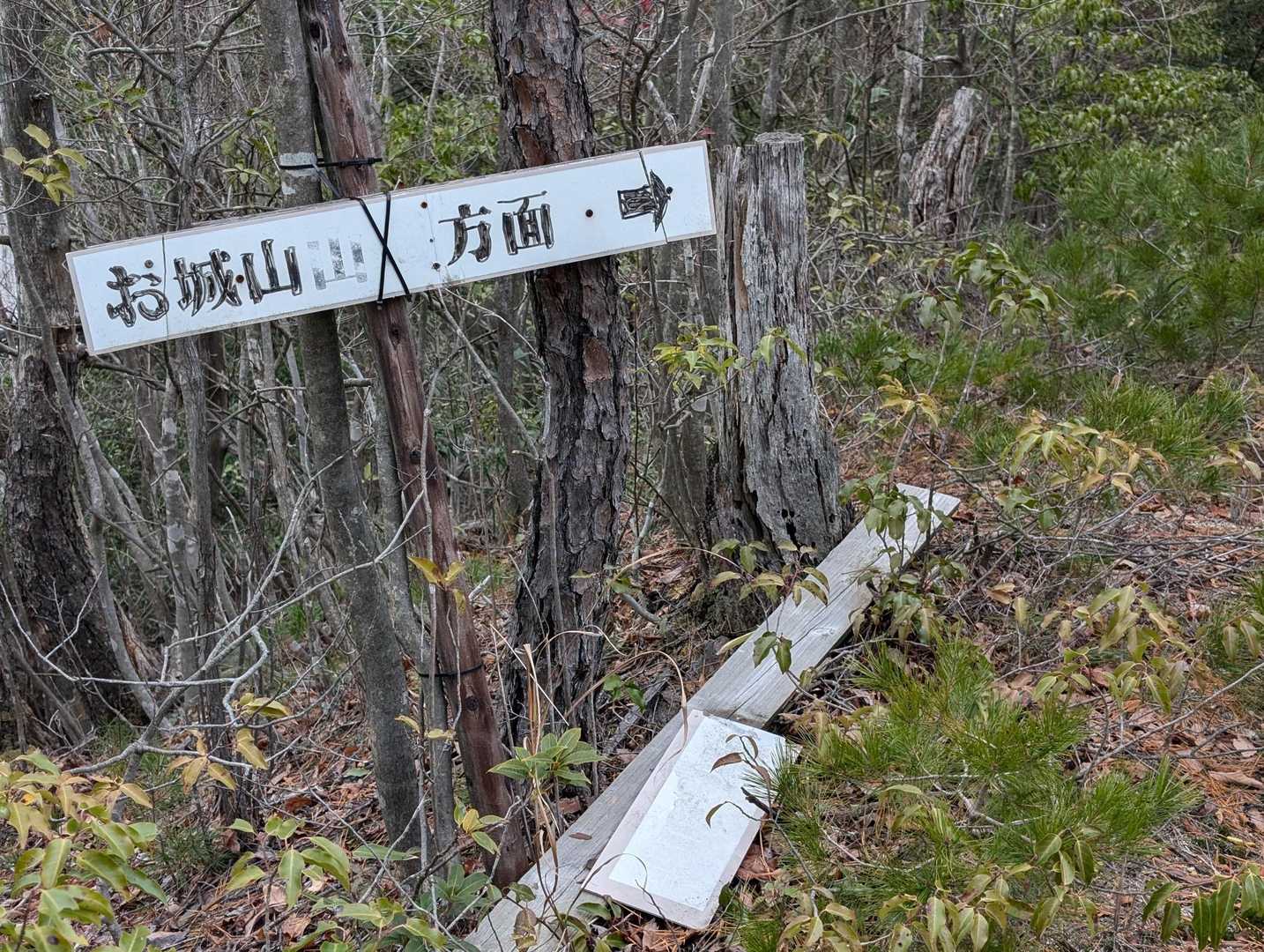 三角山 周回コースの写真