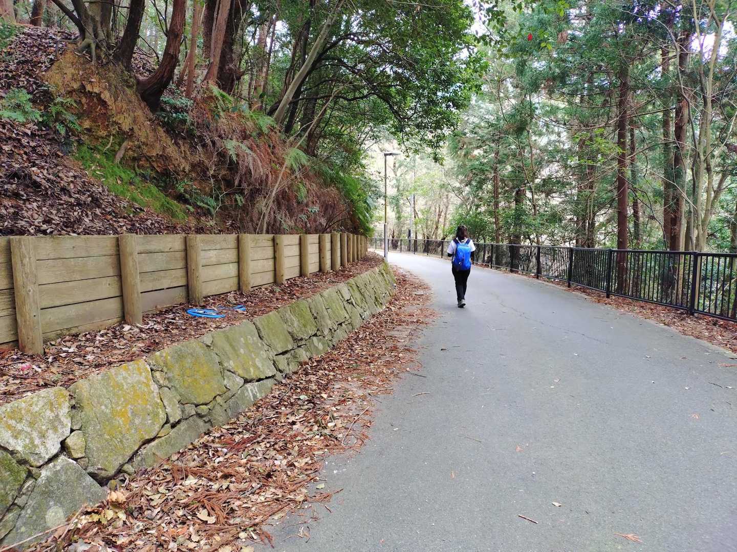 長等公園方向に向かいます♪