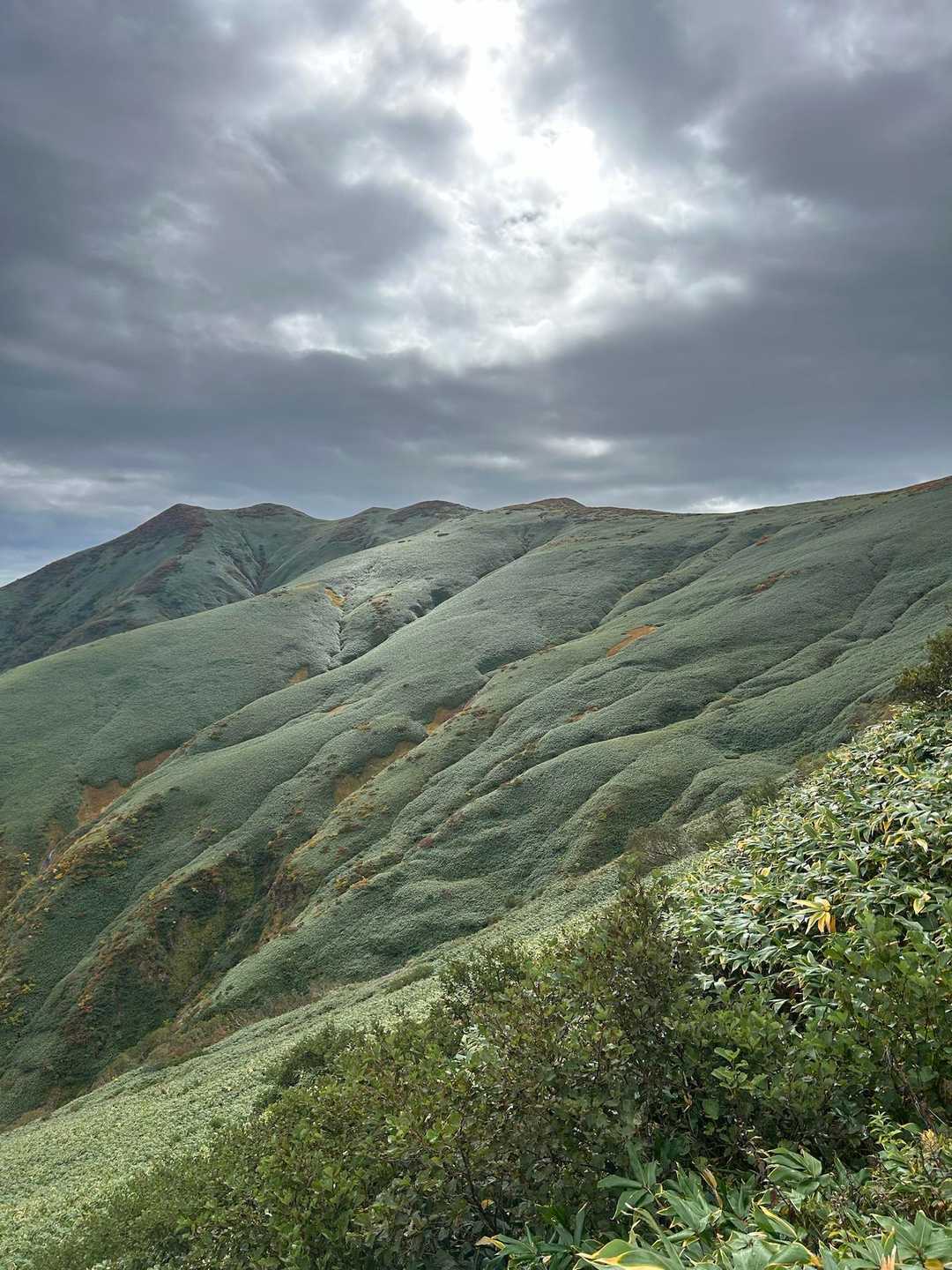 銀の笹と紅葉戦ぐ【平標山 他】平標新道 / ぐんま県境ハイカー あきとの登山データ | YAMAP / ヤマップ