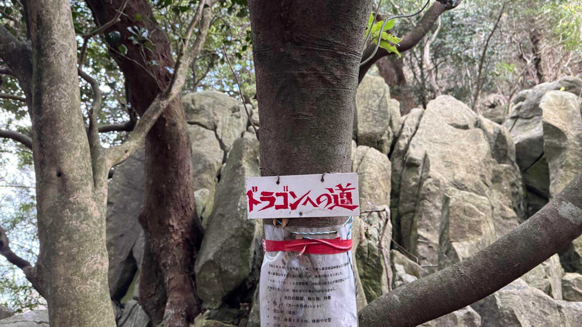 山頂直下の岩場の終わり。
ここまでは分かりやすいがここからが道迷いしやすい印象。
