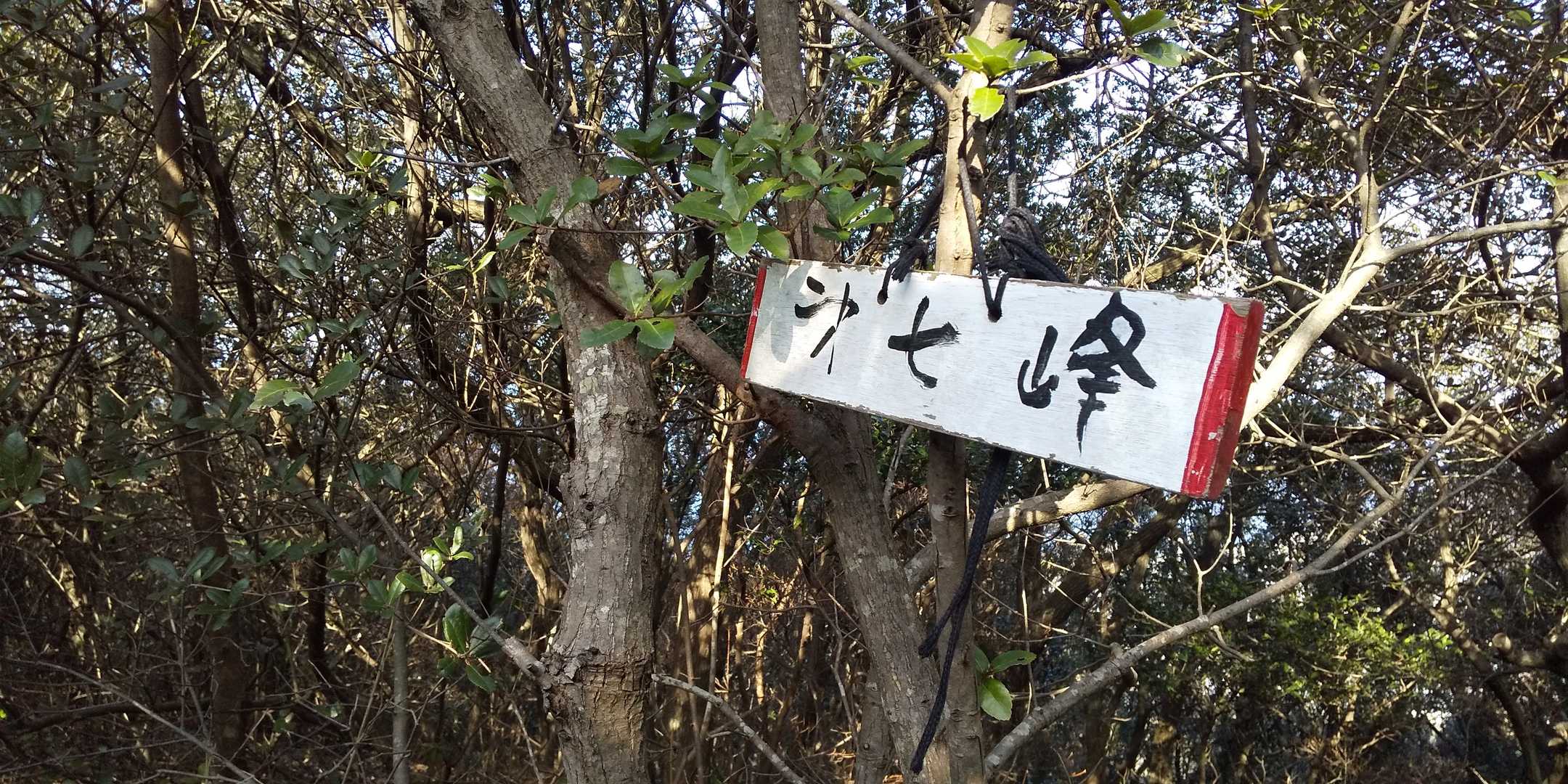 摺鉢山から七ツ山へ。
第一峰から七峰が集まって七ツ山。
私たちは七から一へ下って行きます。
お腹空いてこれ以降写真撮る気力もなく、ひたすら下ります🤣