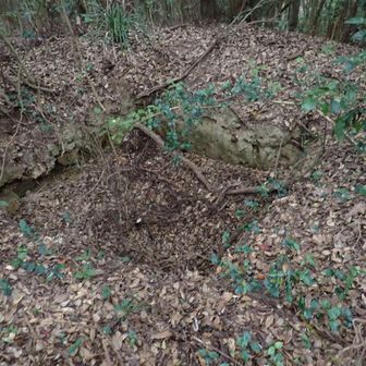 周りに大穴あり。
2m✕2mほどの穴は狼煙場か？