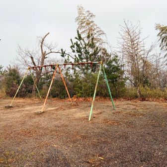 ここで謎のブランコ