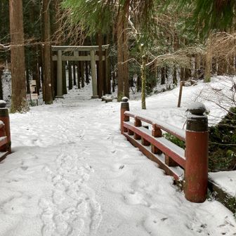 では行ってきます。