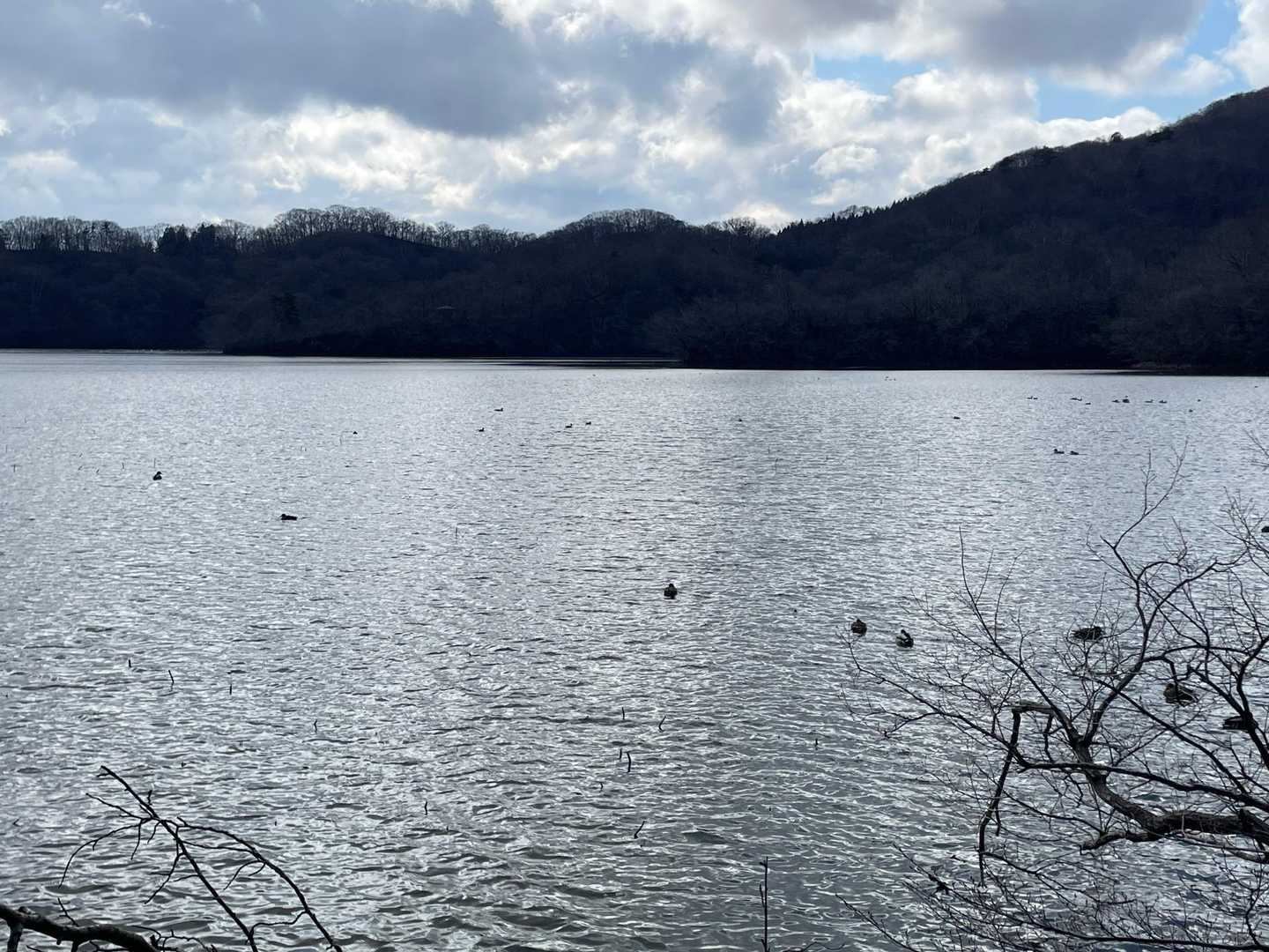 下池
🦢🦆
