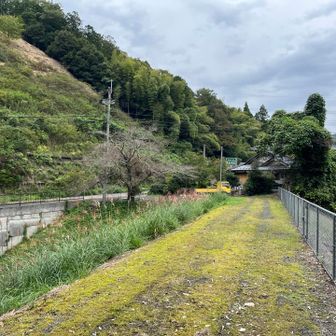 滝尻峠に到着しました