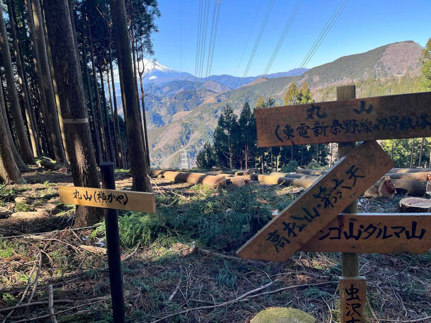 高松山入口バス停-ビリ堂-高松山-フトウ山-桜丸-ダルマ沢 縦走コースの写真