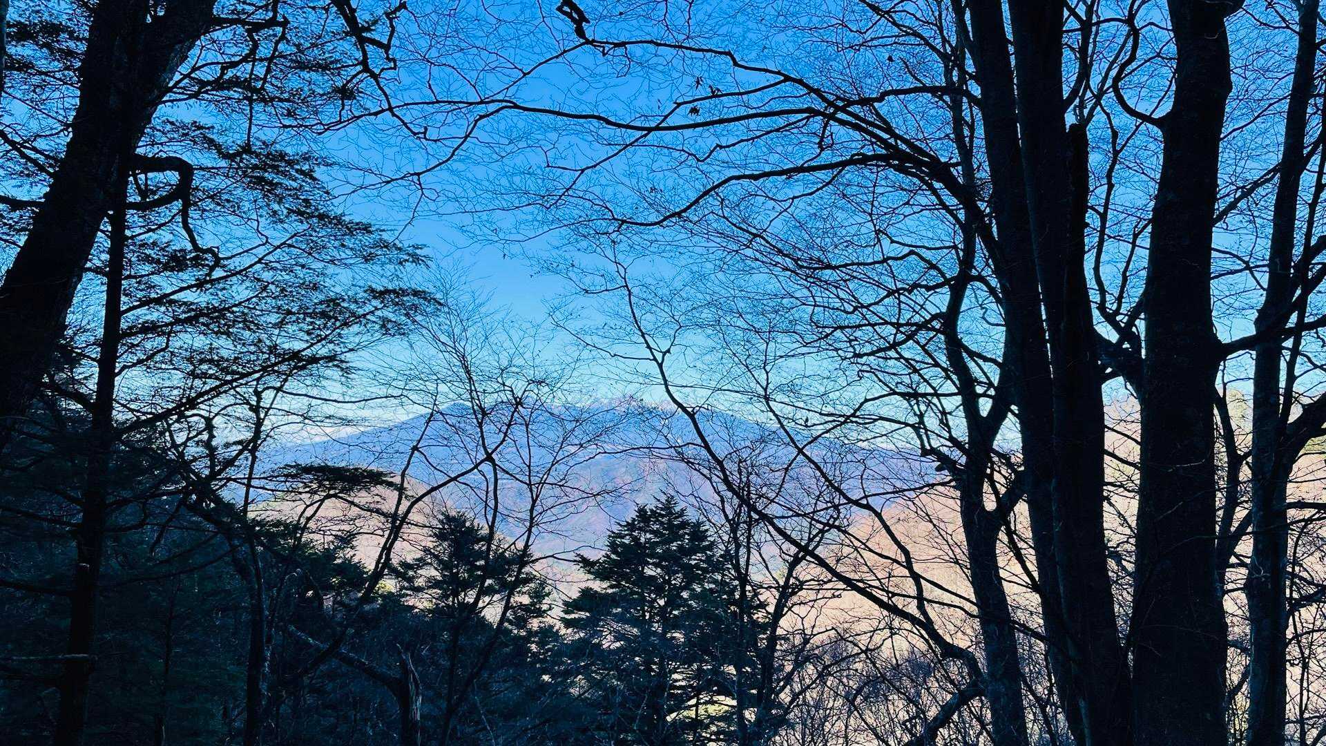 八ヶ岳きれい