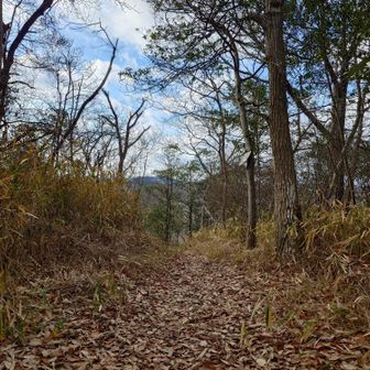 少し休んでCoffee一口
