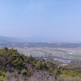 琵琶湖大橋がかろうじて見えるか🫡